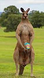 Kangaroo