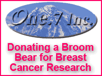 Broom Bear Breast Cancer Sweeper Ad